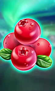 Winterberries